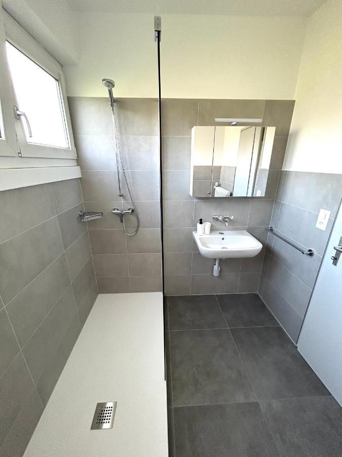 & Renovated - Near Train Station & Center Lugano